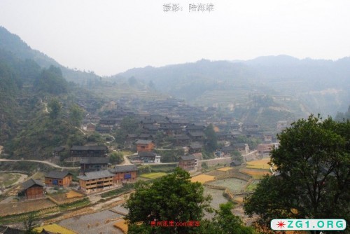 201.jpg