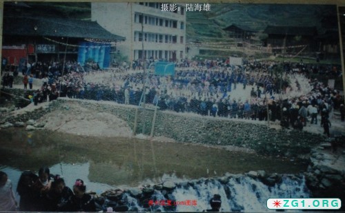 203.jpg