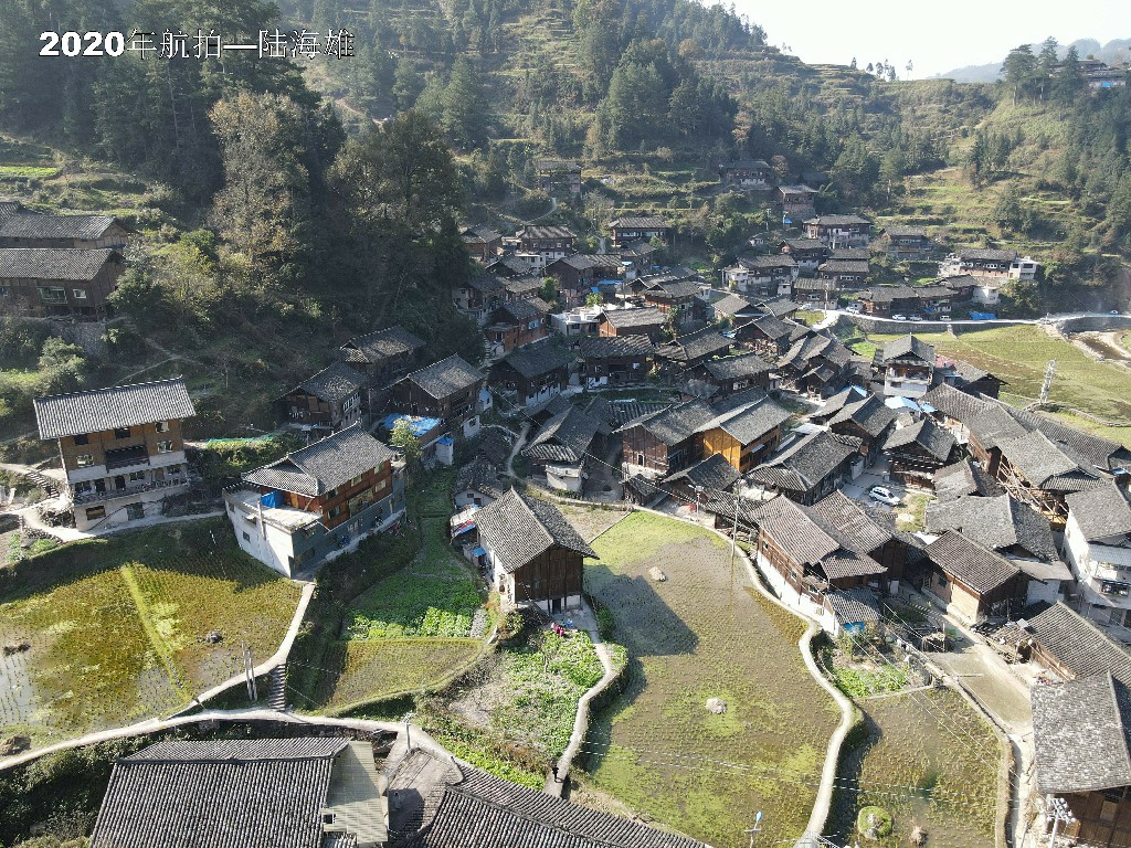 DJI_0031.jpg