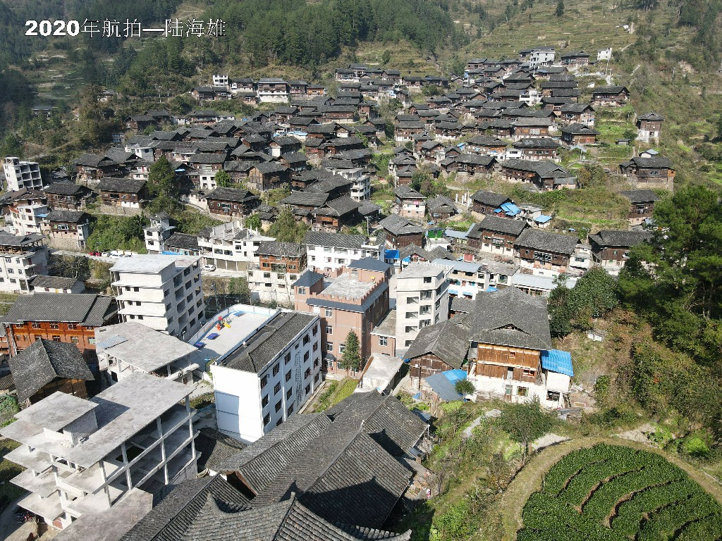 DJI_0033.jpg