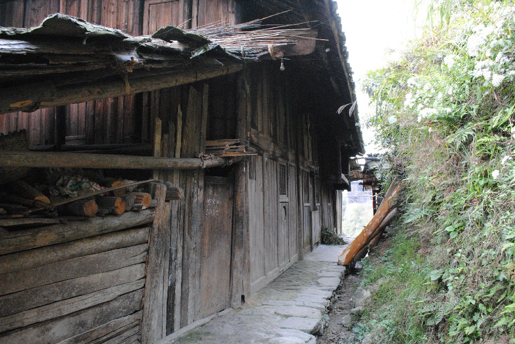 DSC_0100.jpg