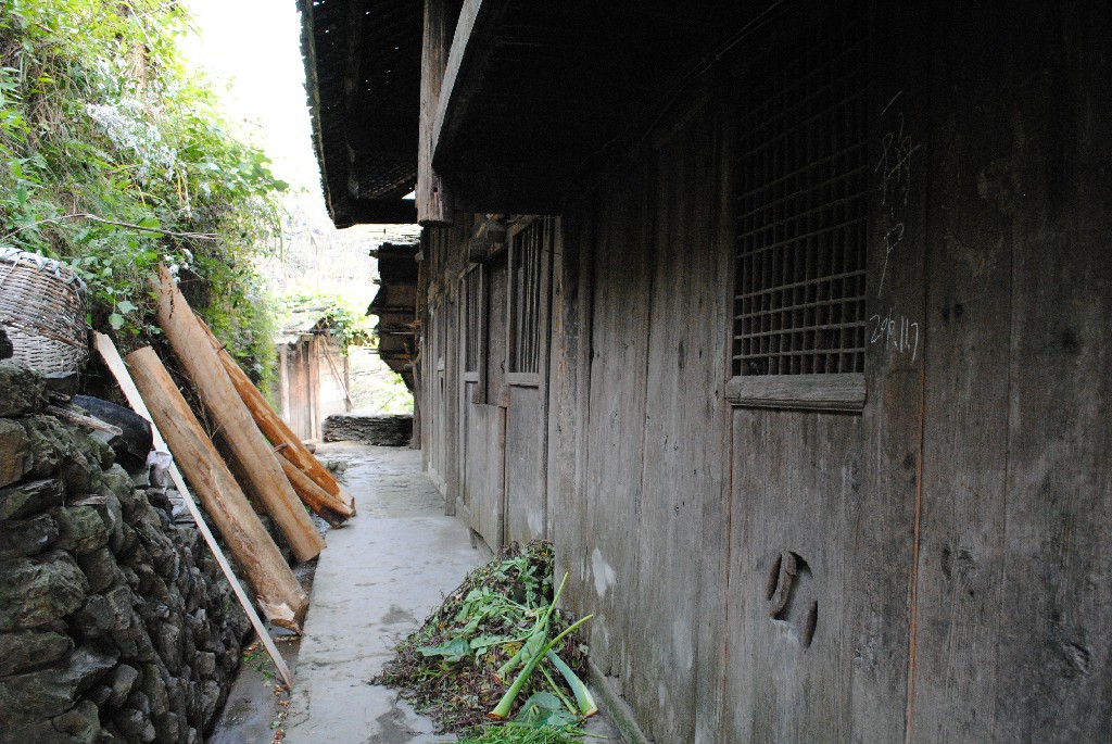 DSC_0094.jpg