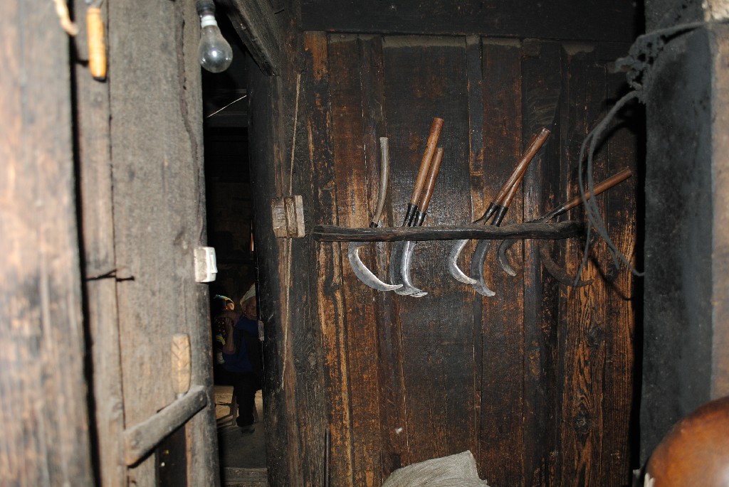 DSC_0104.jpg