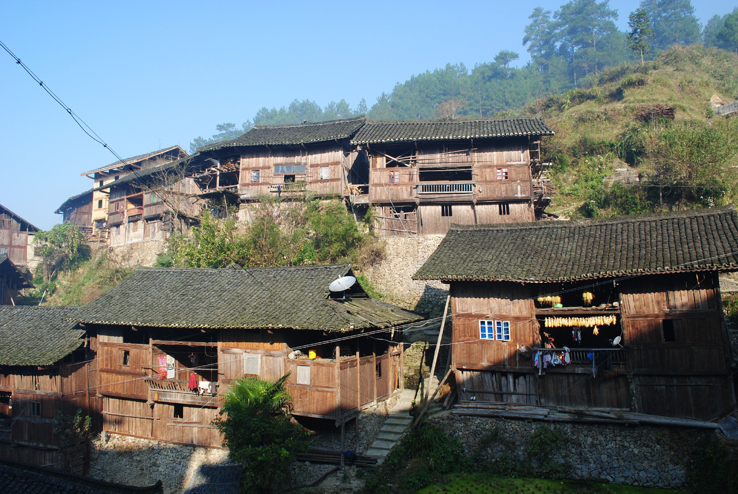 DSC_0124.jpg