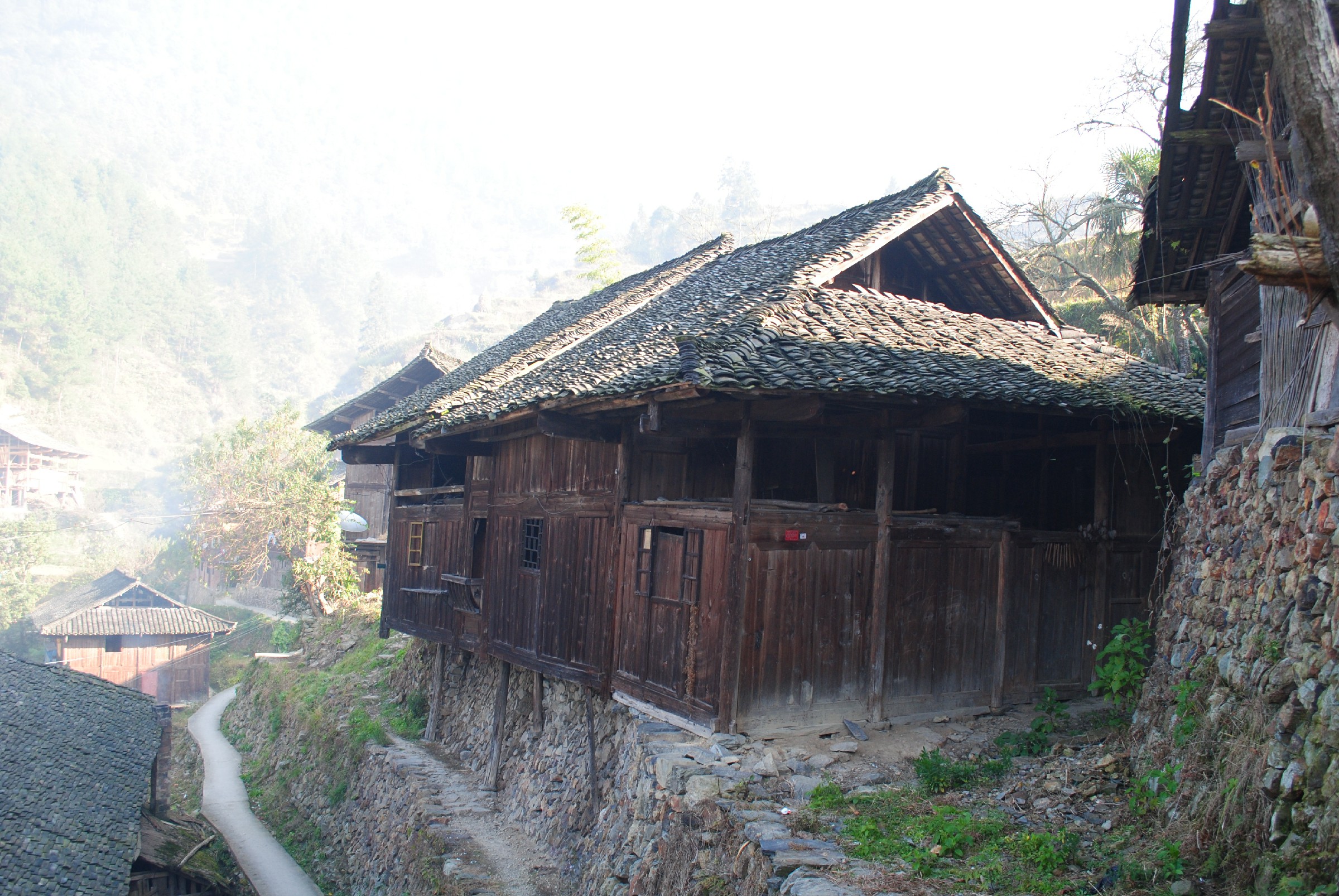 DSC_0130.jpg