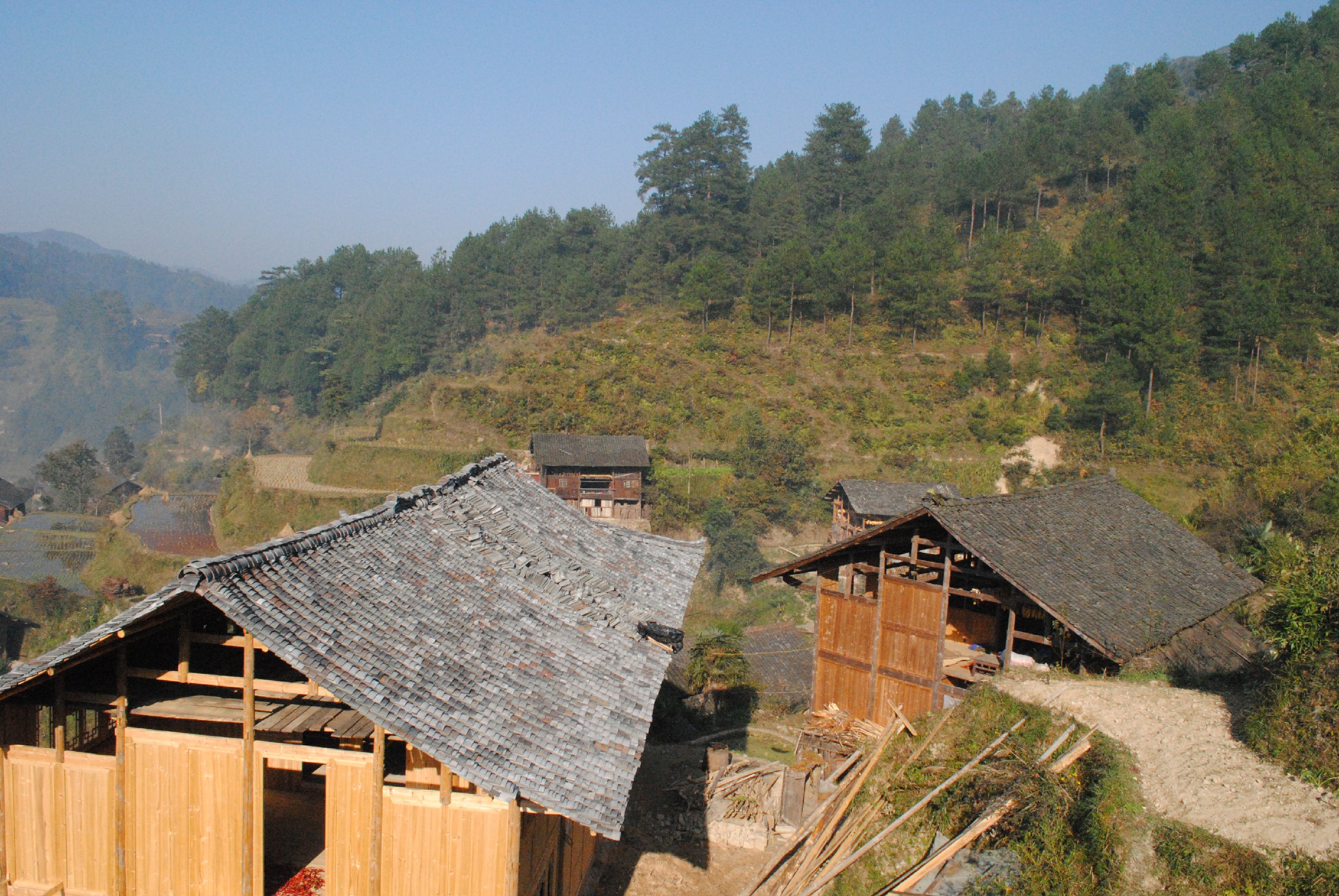 DSC_0136.jpg