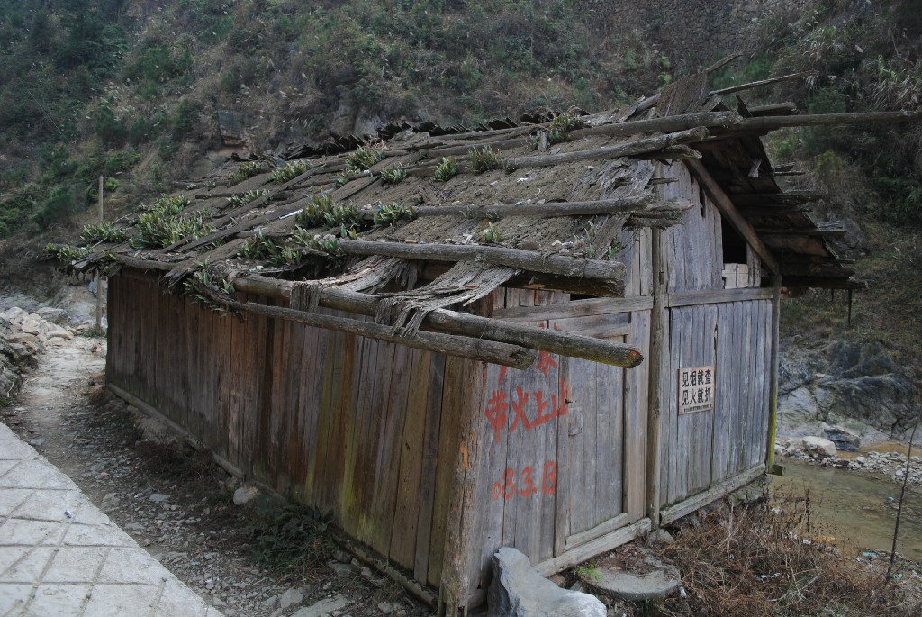 DSC_0064.jpg