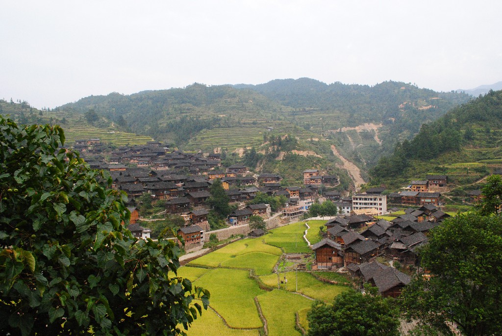 DSC_0085.jpg