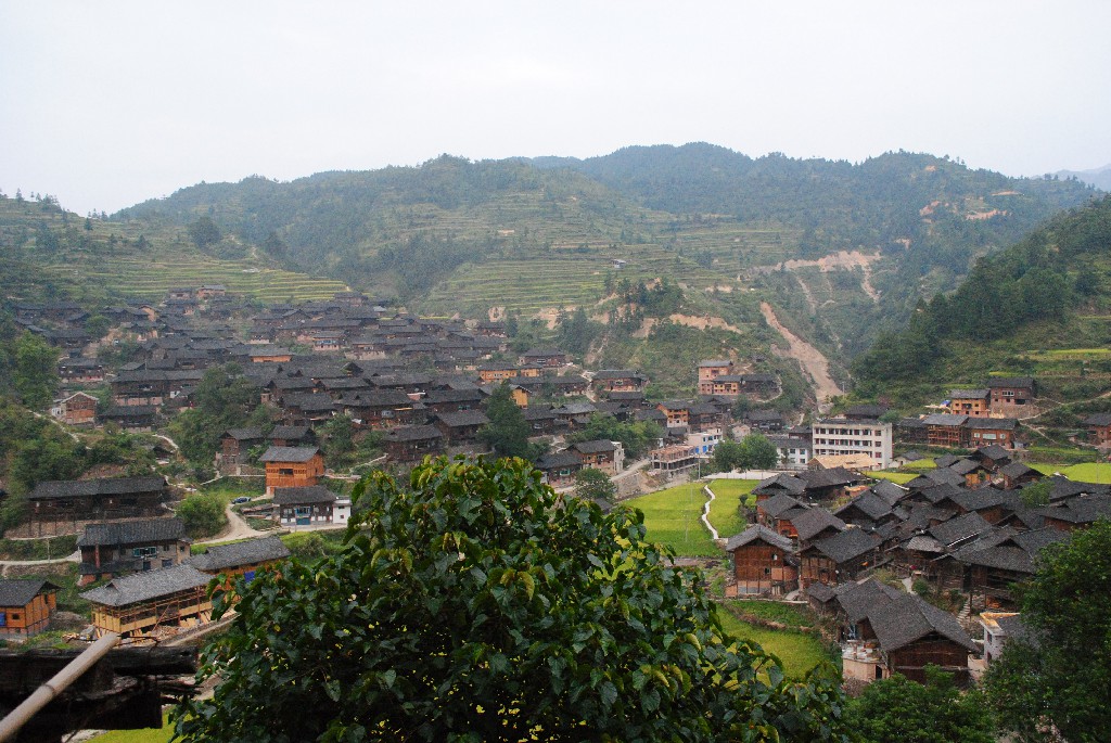 DSC_0112.jpg