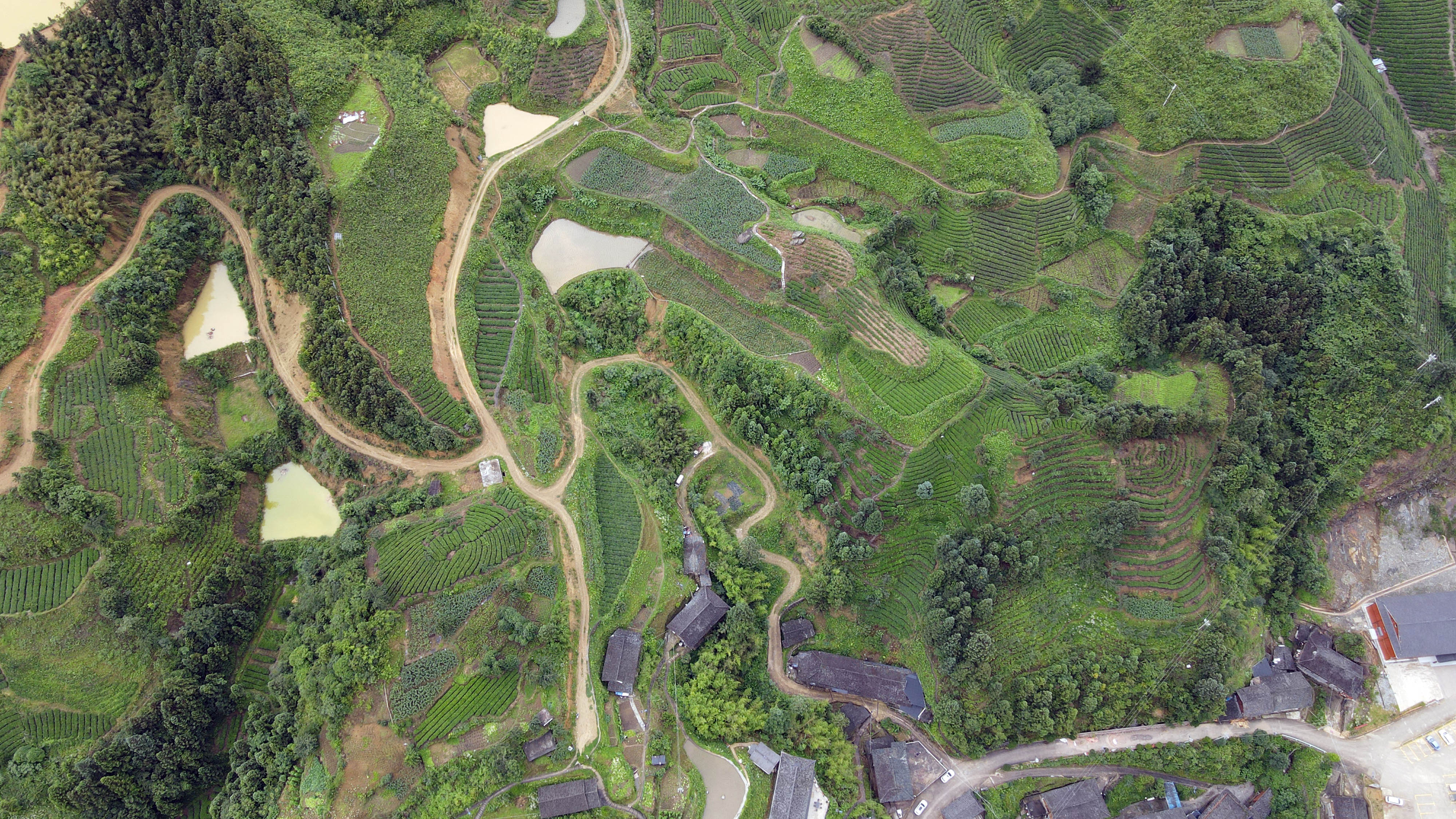 DJI_0259.jpg