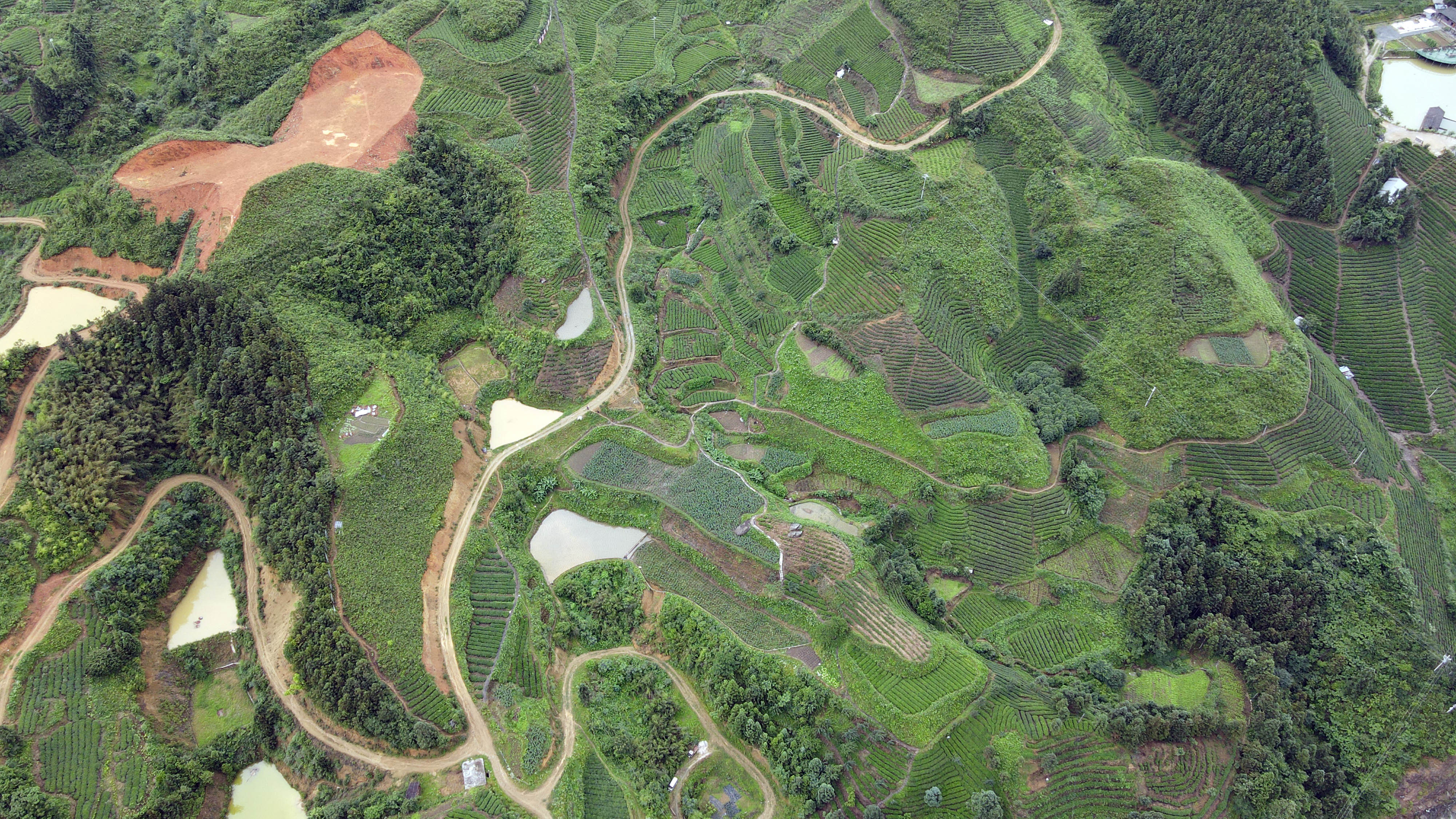 DJI_0260.jpg