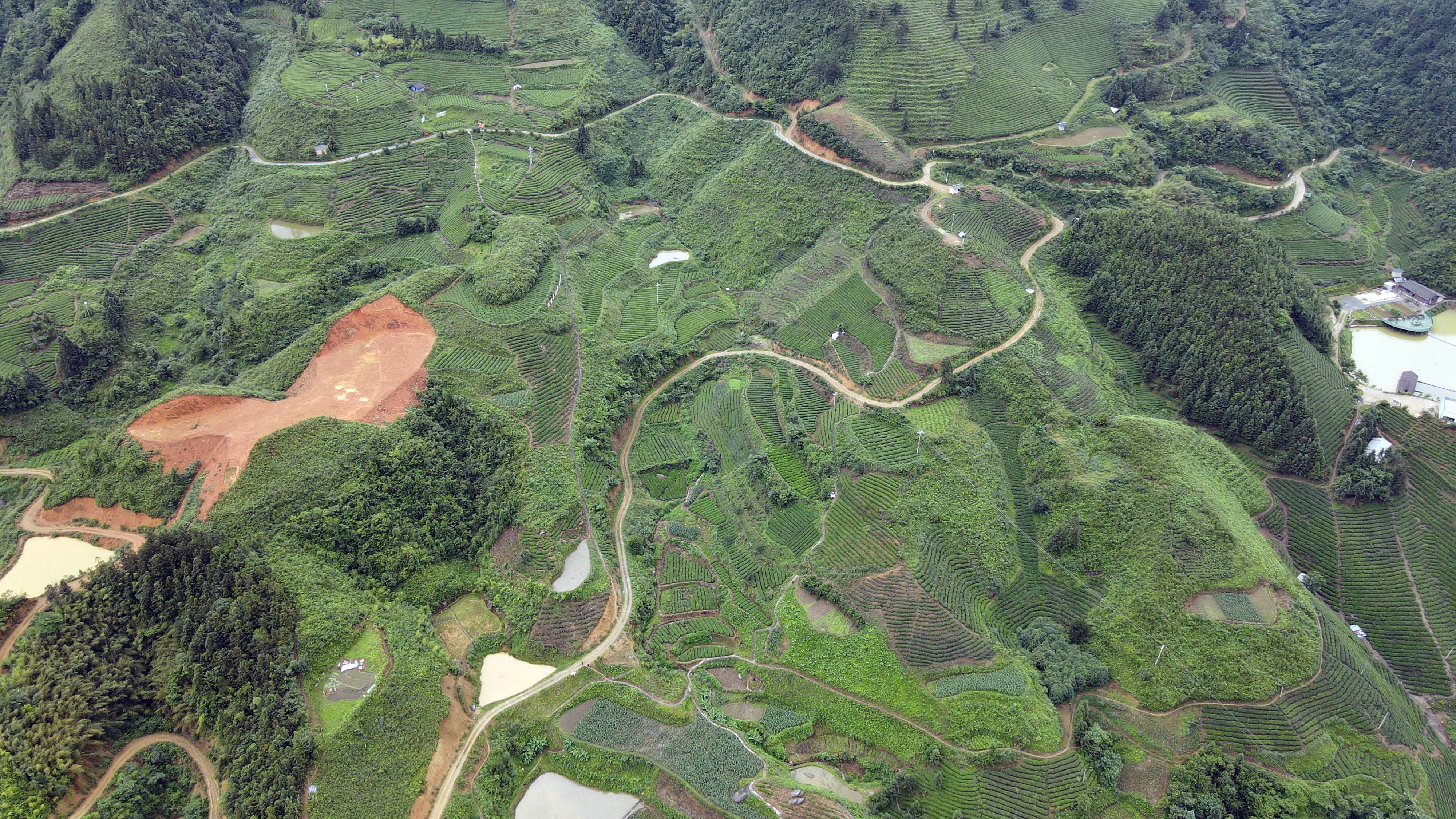 DJI_0261.jpg
