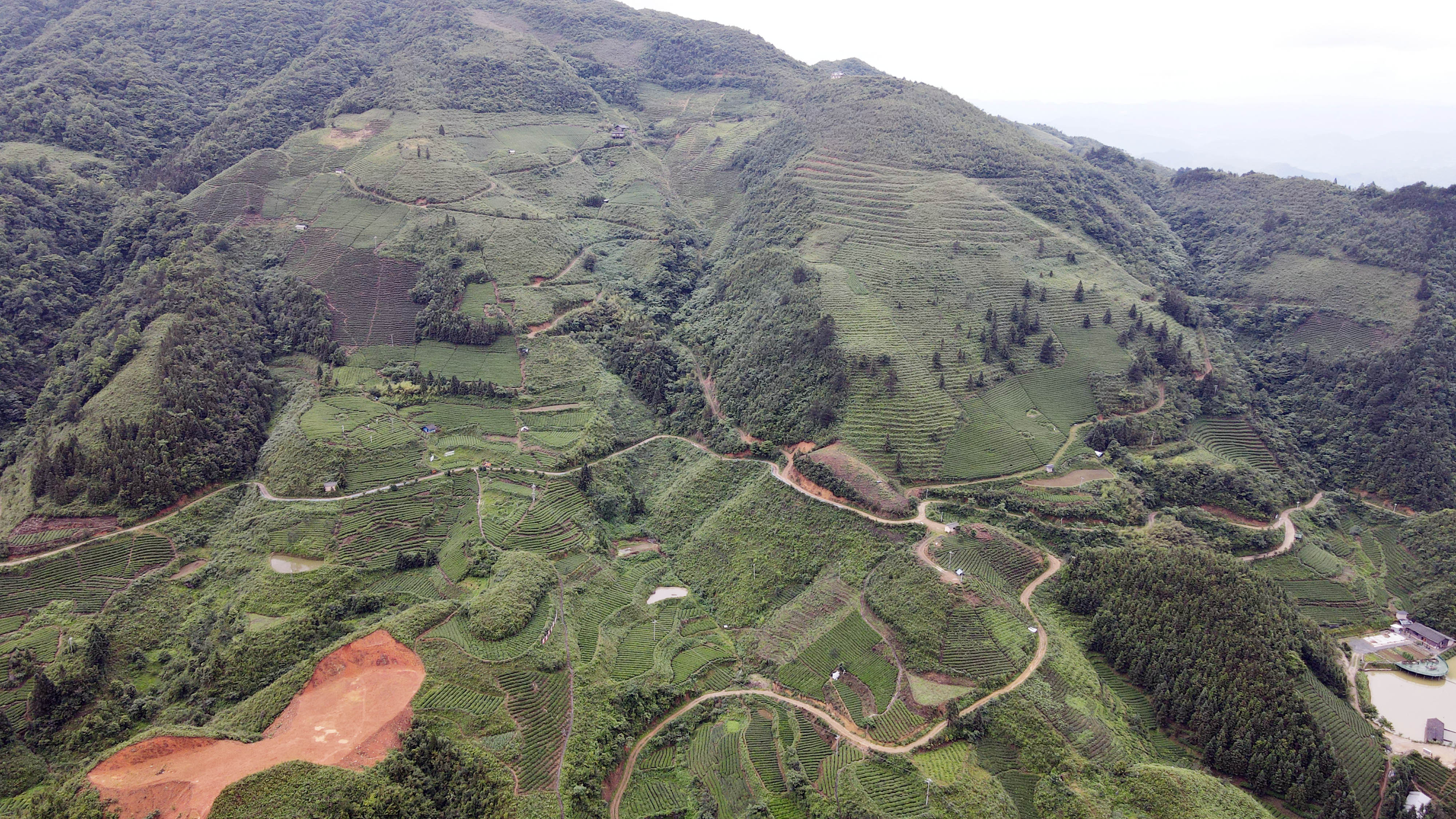 DJI_0262.jpg