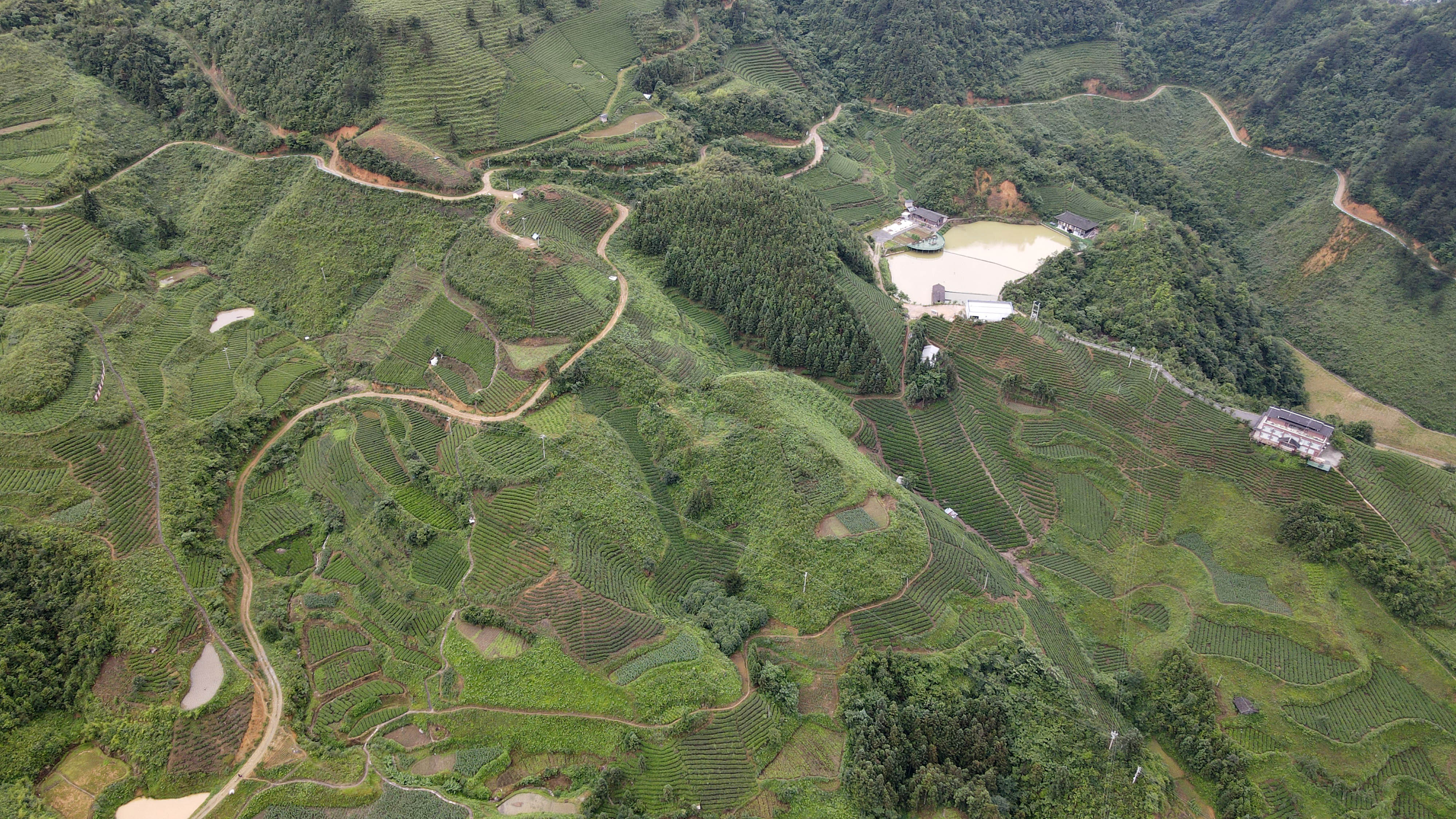 DJI_0263.jpg
