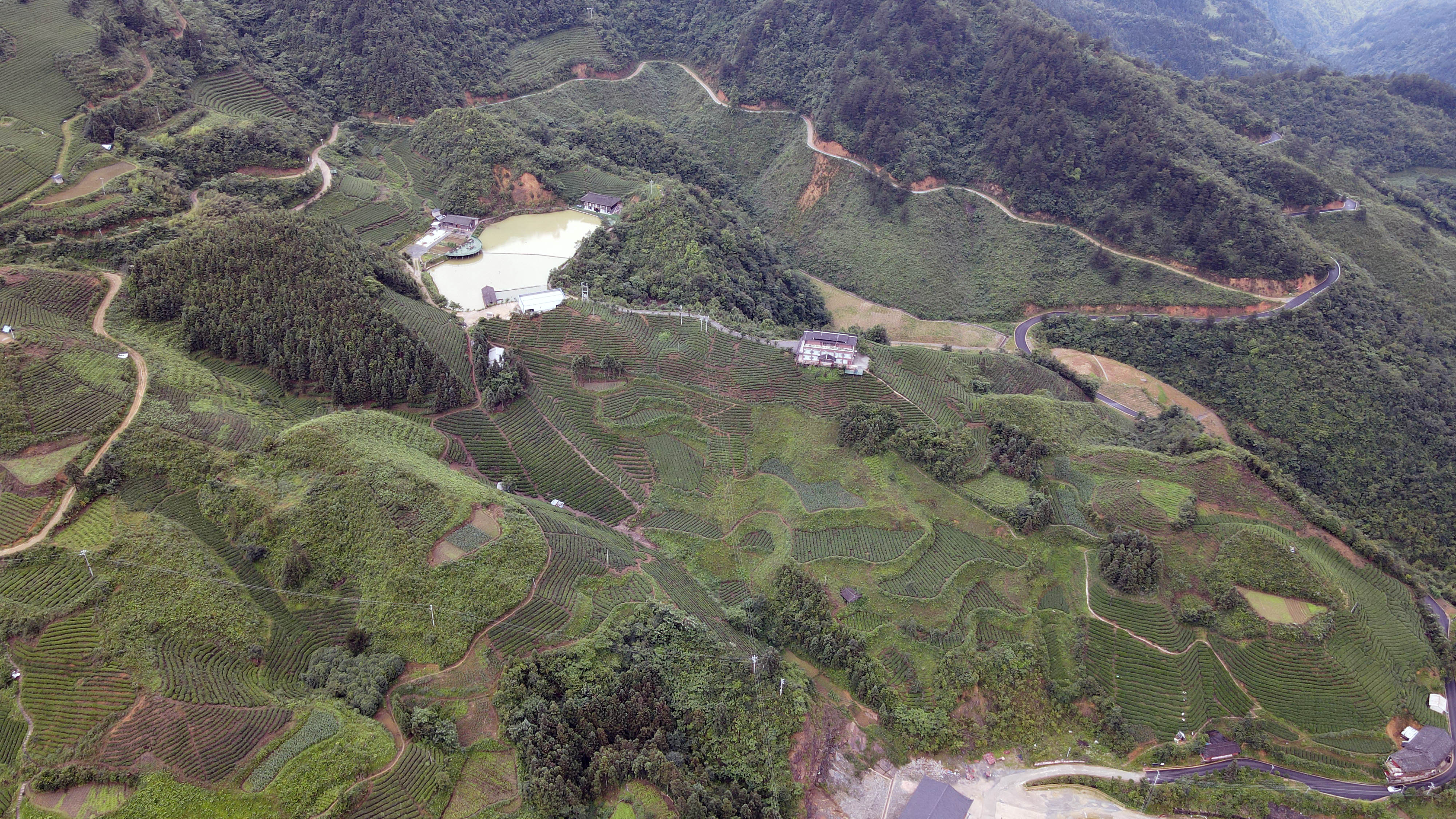 DJI_0264.jpg