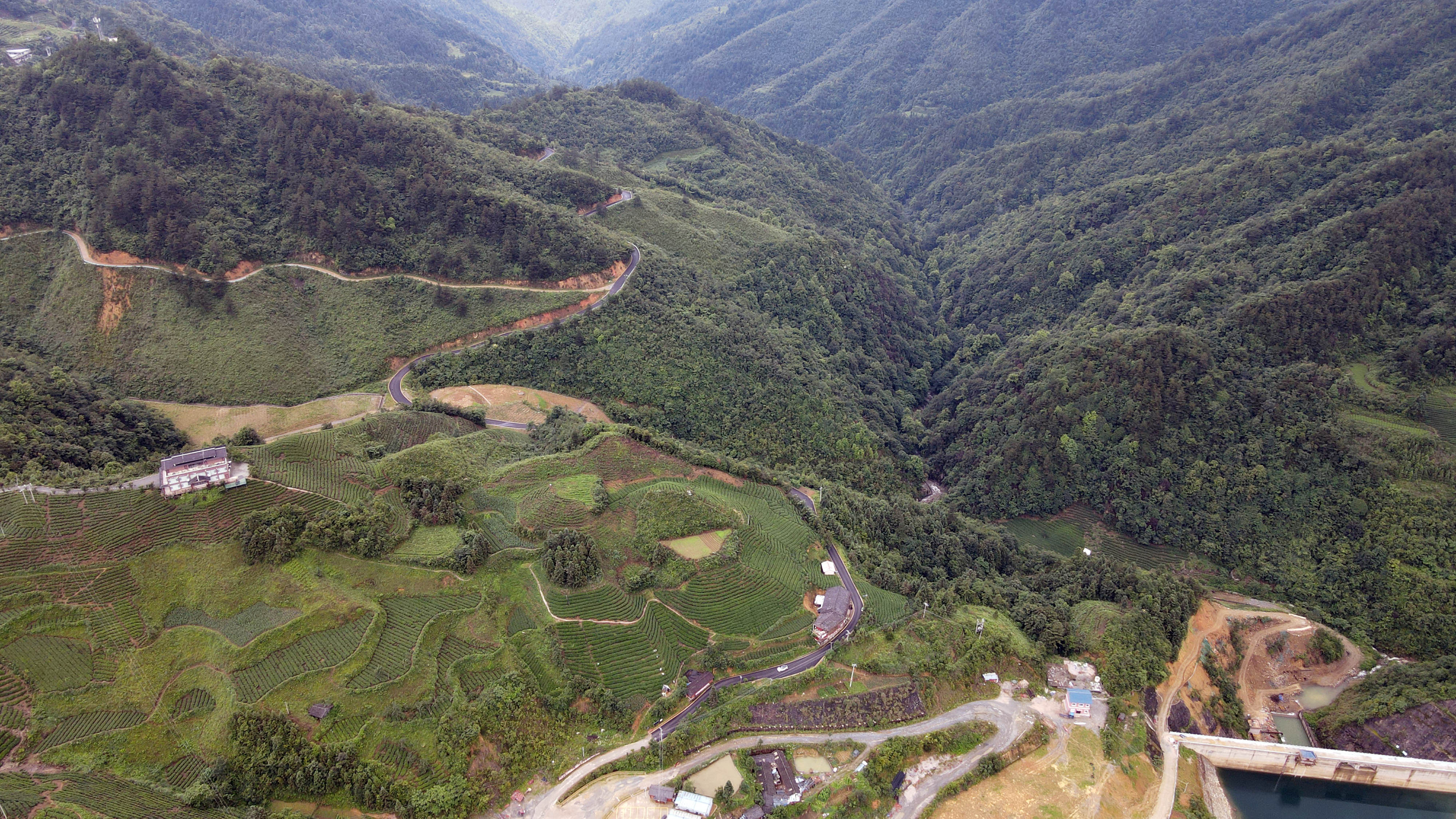 DJI_0265.jpg