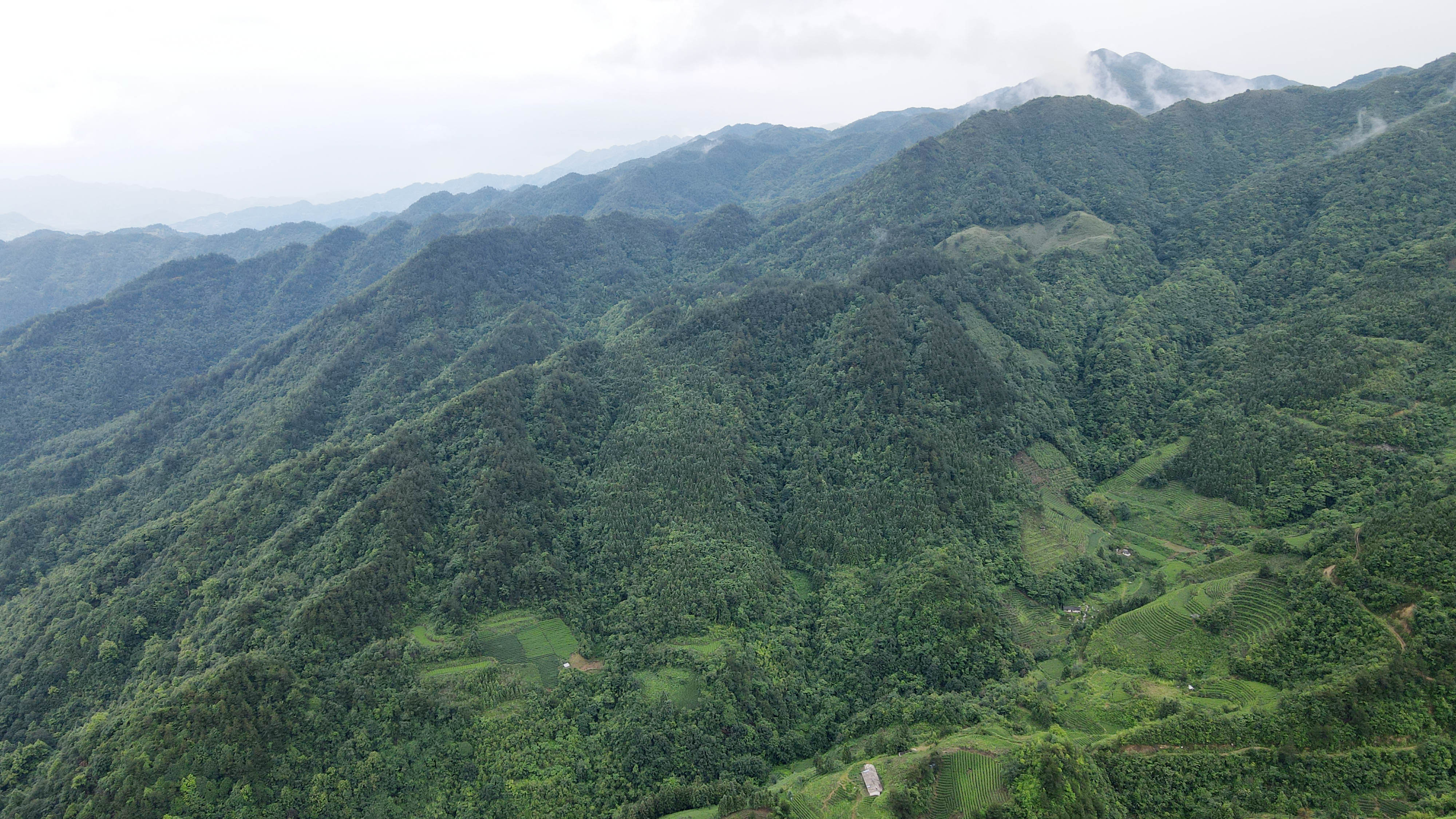 DJI_0267.jpg
