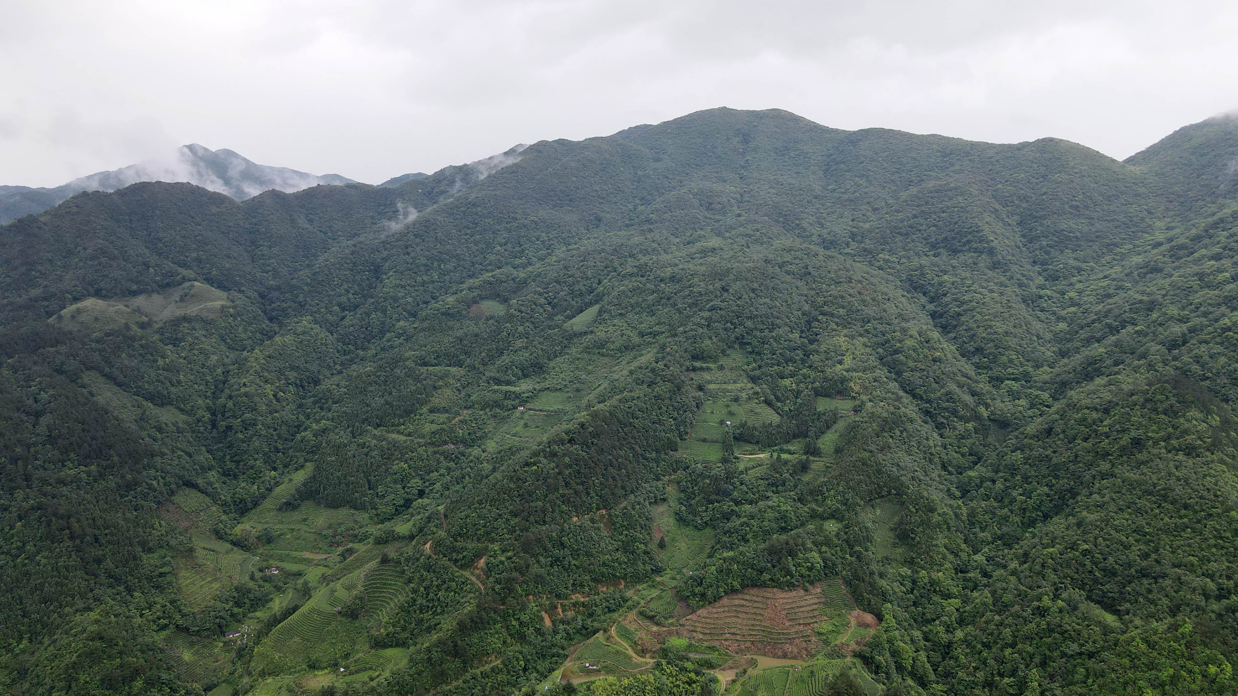 DJI_0268.jpg