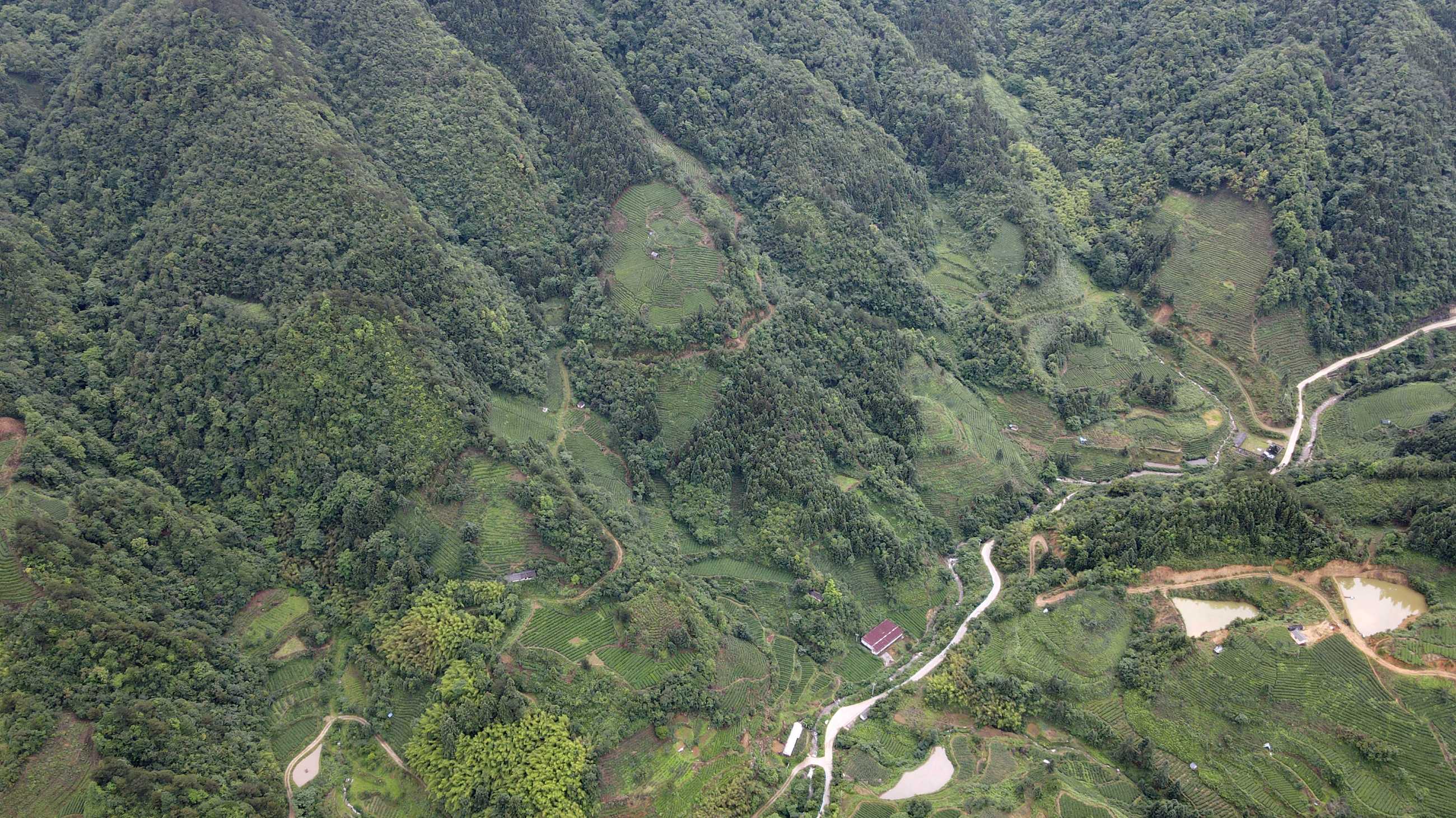 DJI_0273.jpg