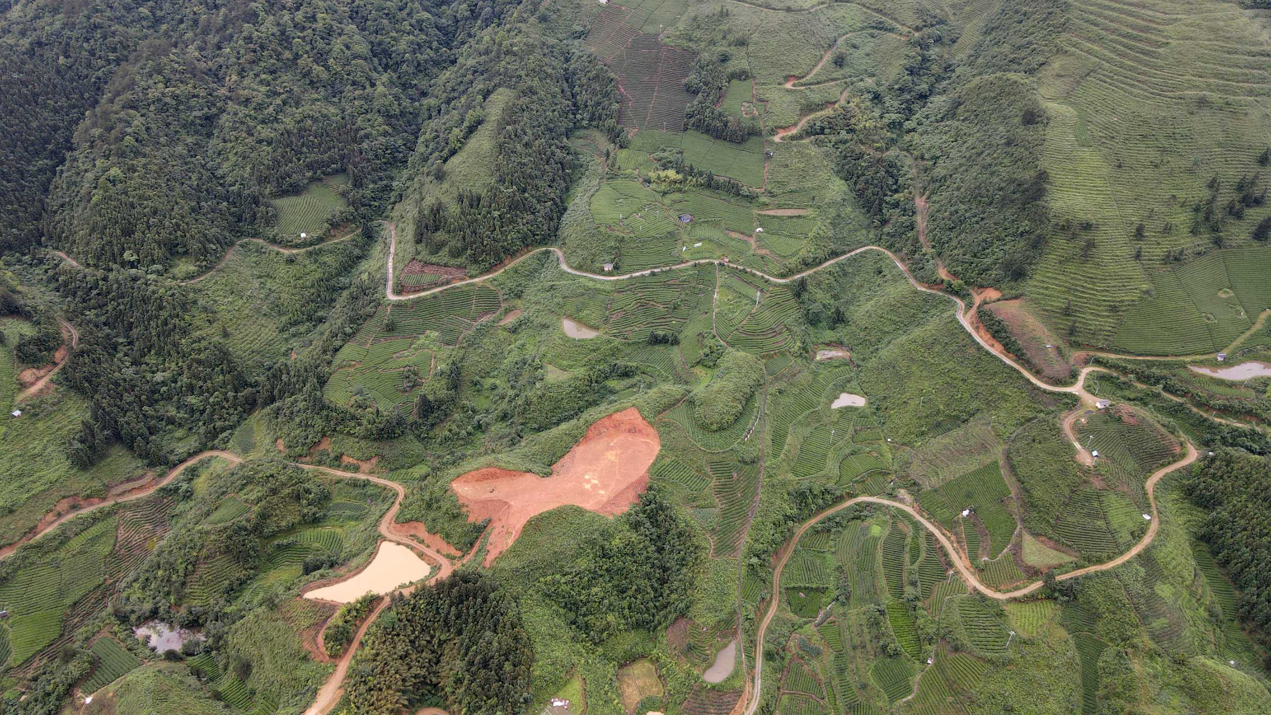 DJI_0275.jpg