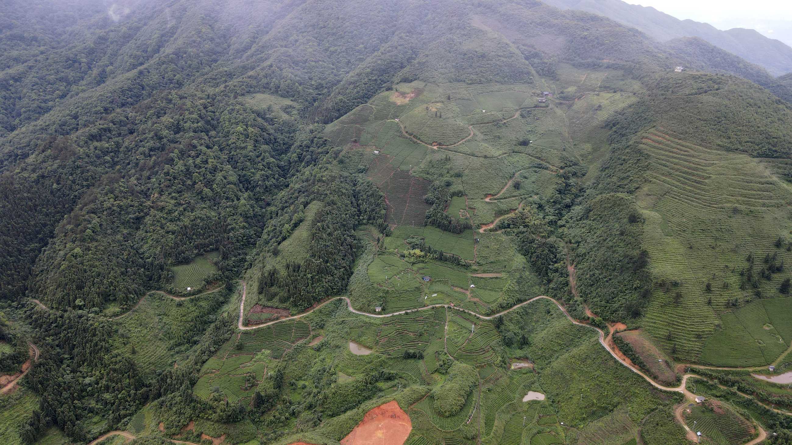 DJI_0276.jpg