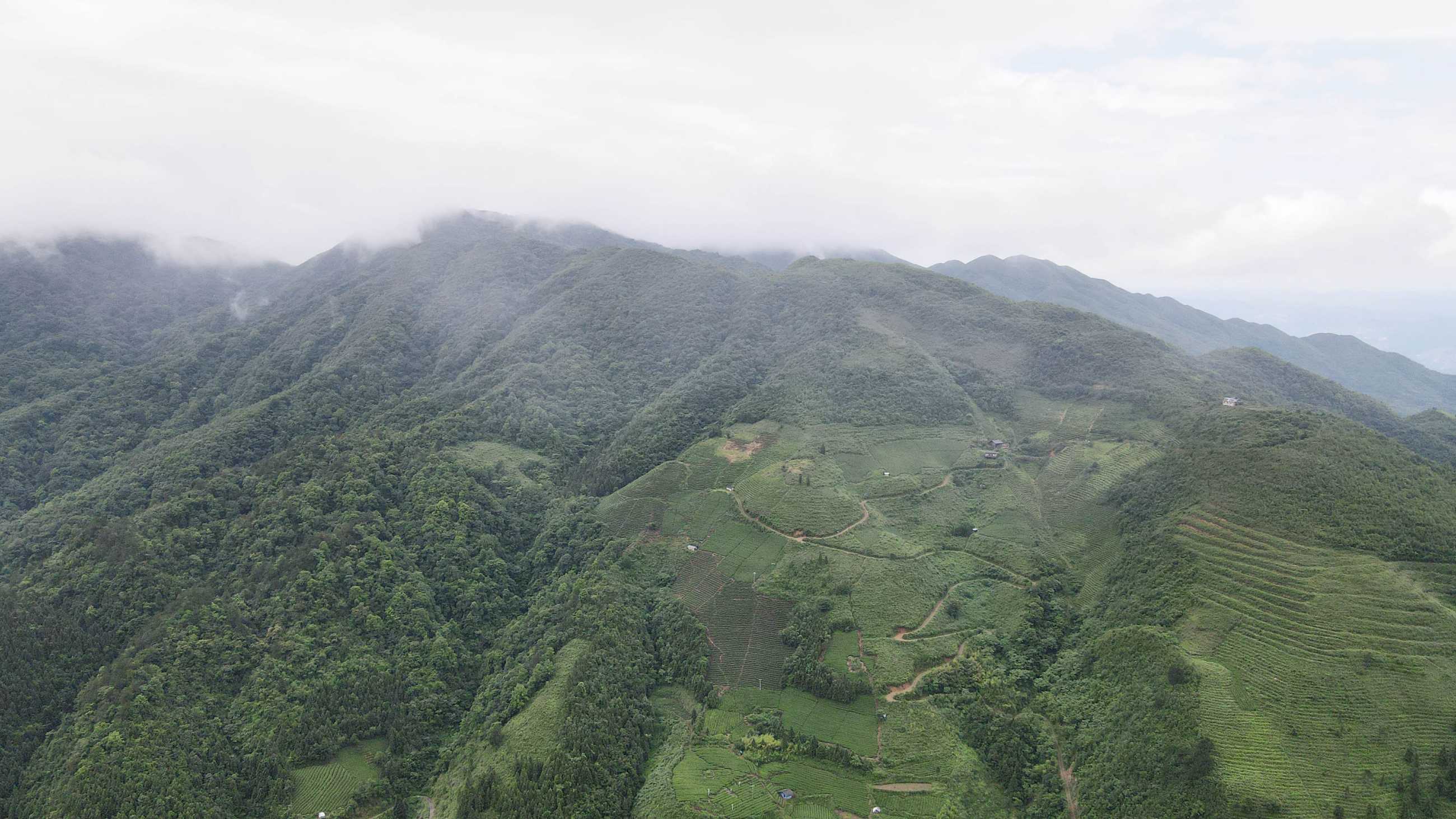 DJI_0277.jpg