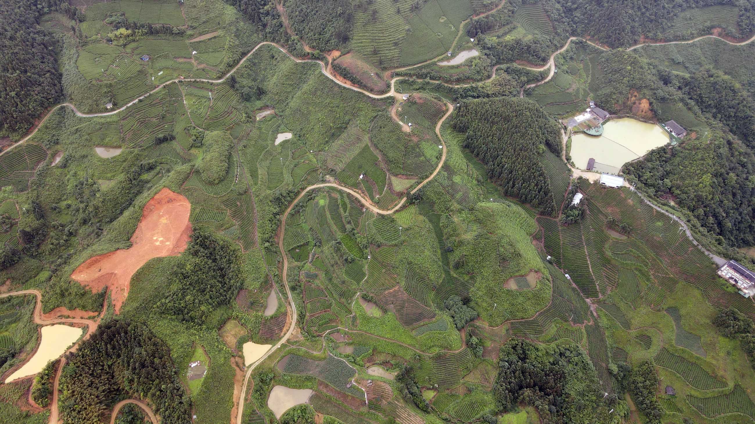 DJI_0279.jpg