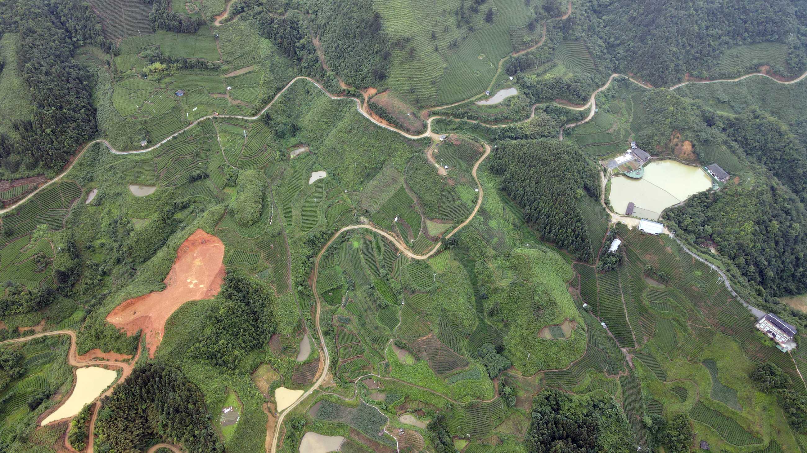 DJI_0280.jpg