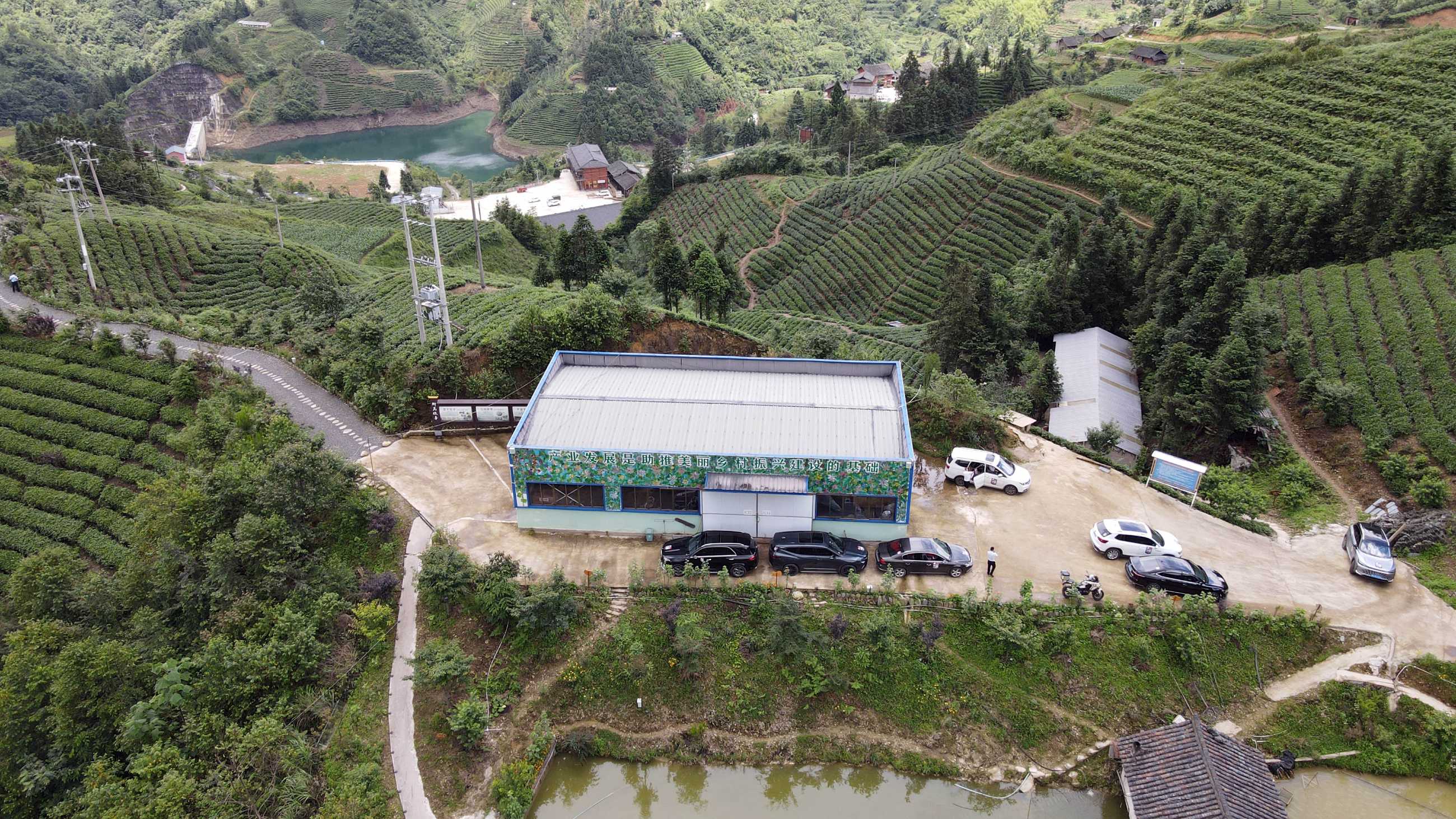 DJI_0293.jpg